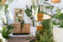 Load image into Gallery viewer, Mirror Elm Rect