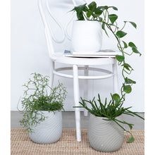 Load image into Gallery viewer, Reina Planter