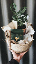 Load image into Gallery viewer, HOLIDAY HAMPER