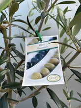 Load image into Gallery viewer, Olive Manzanillo Std 330mm