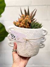 Load image into Gallery viewer, Succulents & Sip