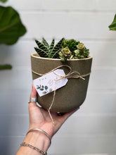Load image into Gallery viewer, Succulents & Sip