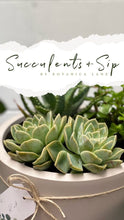 Load image into Gallery viewer, Succulents & Sip