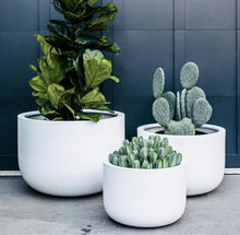 Load image into Gallery viewer, The Chop