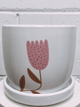 Load image into Gallery viewer, Driftwood Air Plant Creation