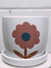 Load image into Gallery viewer, Driftwood Air Plant Creation