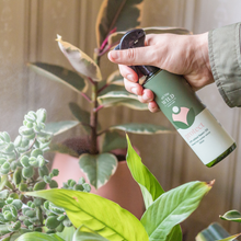 Load image into Gallery viewer, Protect, We The Wild