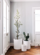 Load image into Gallery viewer, Choob