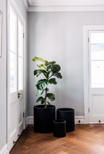 Load image into Gallery viewer, Choob