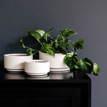 Load image into Gallery viewer, Good Size