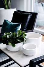 Load image into Gallery viewer, Good Size