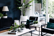 Load image into Gallery viewer, Good Size