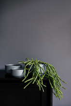 Load image into Gallery viewer, Good Size