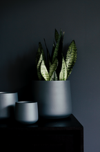 Load image into Gallery viewer, The Squeeze