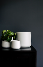 Load image into Gallery viewer, The Squeeze