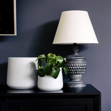 Load image into Gallery viewer, The Squeeze