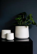 Load image into Gallery viewer, The Squeeze