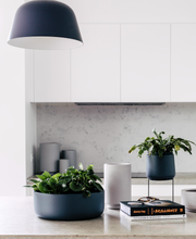 Load image into Gallery viewer, The Squeeze