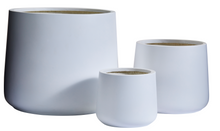 Load image into Gallery viewer, The Squeeze