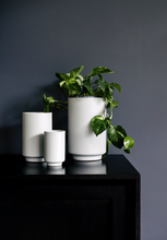 Load image into Gallery viewer, Not Bad