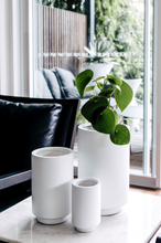 Load image into Gallery viewer, Not Bad