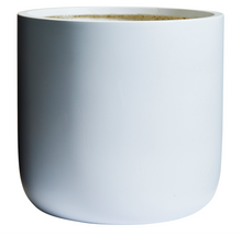 Load image into Gallery viewer, Slim Pickins