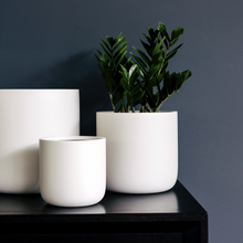 Load image into Gallery viewer, Slim Pickins