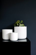 Load image into Gallery viewer, Slim Pickins