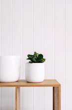 Load image into Gallery viewer, Slim Pickins