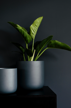 Load image into Gallery viewer, Slim Pickins