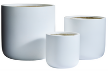 Load image into Gallery viewer, Slim Pickins