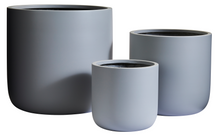 Load image into Gallery viewer, Slim Pickins