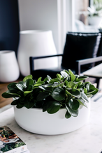 Load image into Gallery viewer, Tops Off