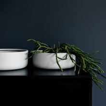 Load image into Gallery viewer, Tops Off