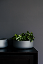 Load image into Gallery viewer, Tops Off