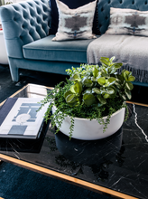 Load image into Gallery viewer, Tops Off