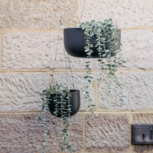 Load image into Gallery viewer, Maggie