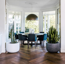 Load image into Gallery viewer, The Chop