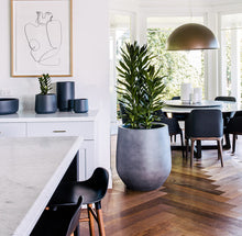 Load image into Gallery viewer, Jitt