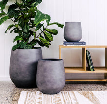 Load image into Gallery viewer, Jitt