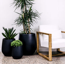 Load image into Gallery viewer, Jitt