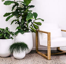 Load image into Gallery viewer, Jitt