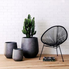 Load image into Gallery viewer, Jitt