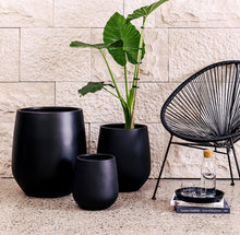 Load image into Gallery viewer, Jitt