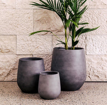 Load image into Gallery viewer, Jitt