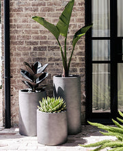 Load image into Gallery viewer, Loob