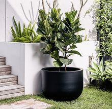 Load image into Gallery viewer, The Chop