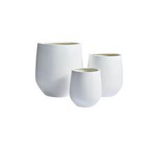 Load image into Gallery viewer, Jitt