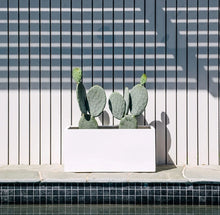 Load image into Gallery viewer, Oblong