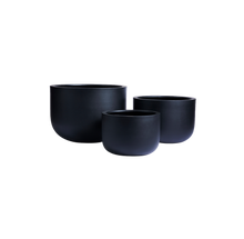 Load image into Gallery viewer, The Chop